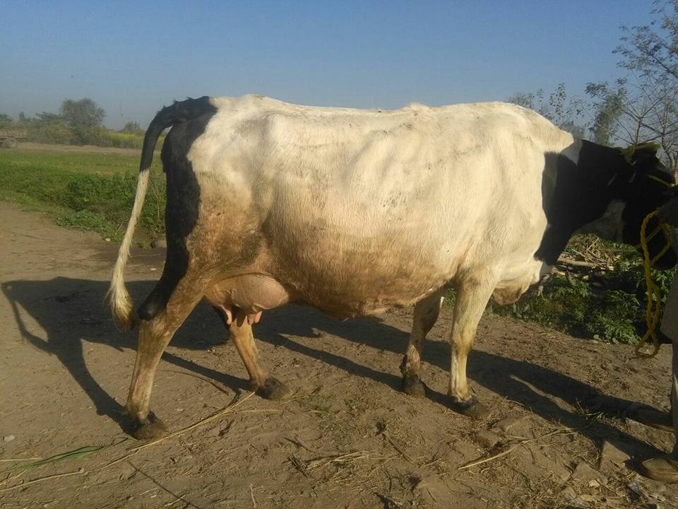 Aftab Ahmed Khan