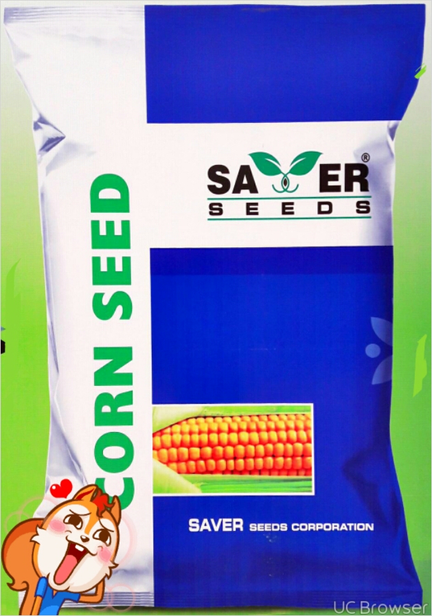 Corn Seed                               مکئ