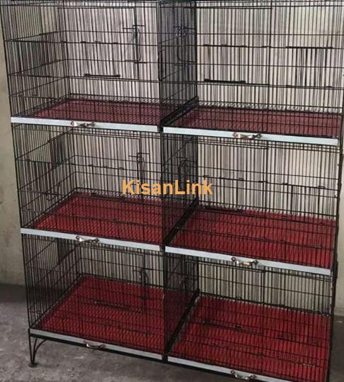 6 portion cage for sale