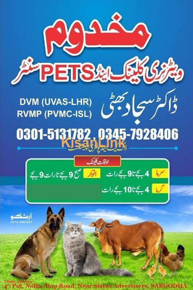 Veterinary  And Pets center
