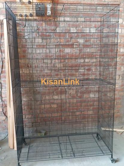 Cage for Birds  sale