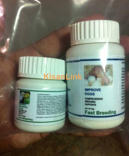 Birds Breeding medicine