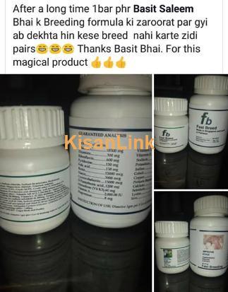 Birds Breeding medicine