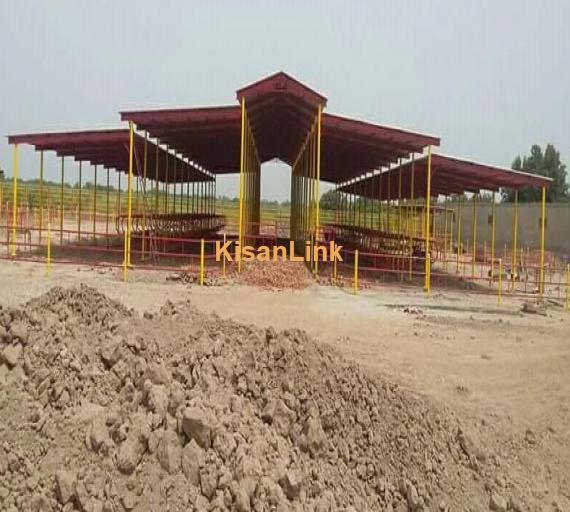 For construction of all kinds of dairy sheds contact us