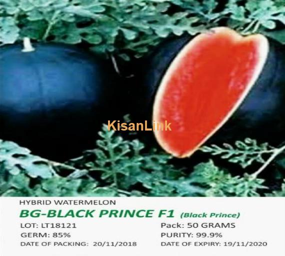 Fruits and vegetable  Seeds for sale