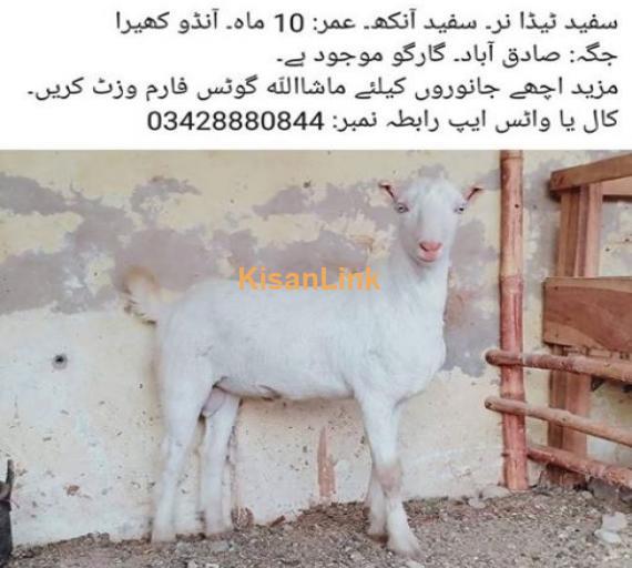 For sale