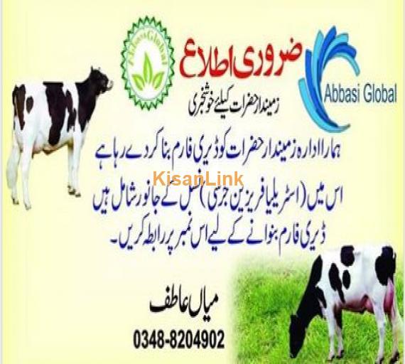 Dairy farming