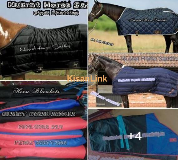 Blanket for horse