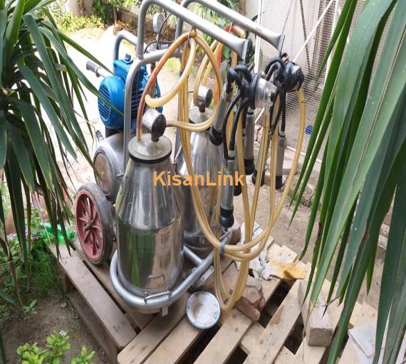 Milking Machine For Sale