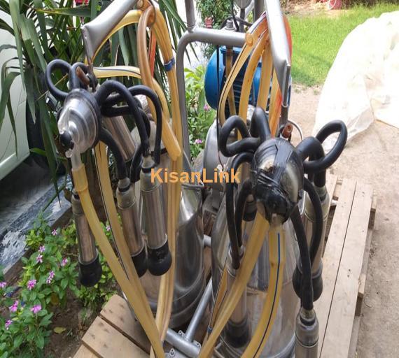 Milking Machine For Sale