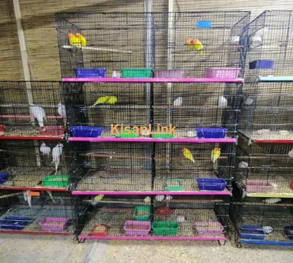 Bird Cages For Sale