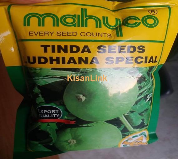 Tinda Seeds For Sale