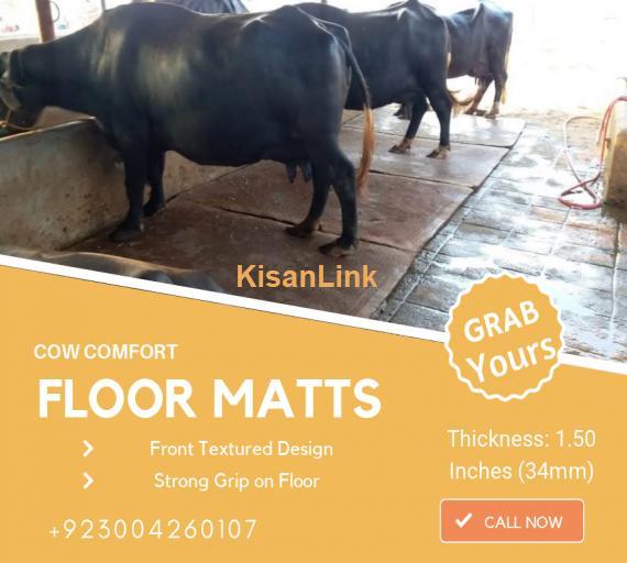 Cow Mats For Sale