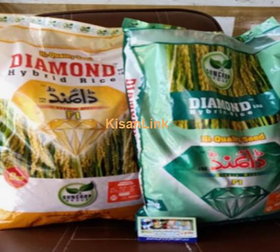 Diamond Rice Seeds