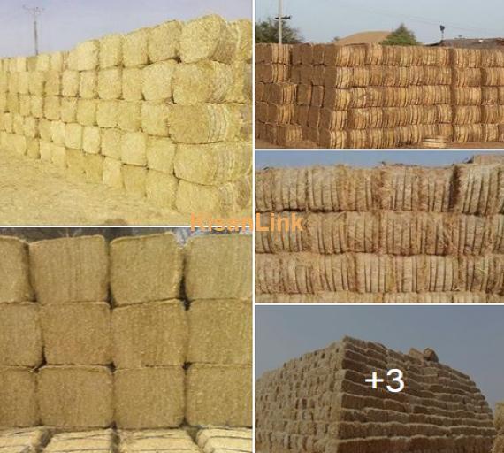 Straw For Sale(بھوسہ)
