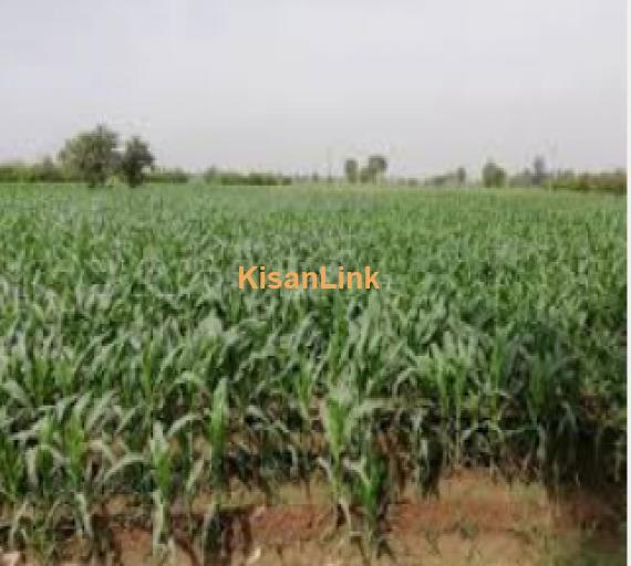 Agricultural land