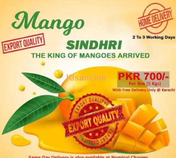 Mangoes For Sale