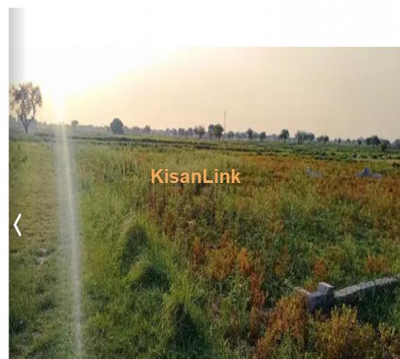 Agricultural land