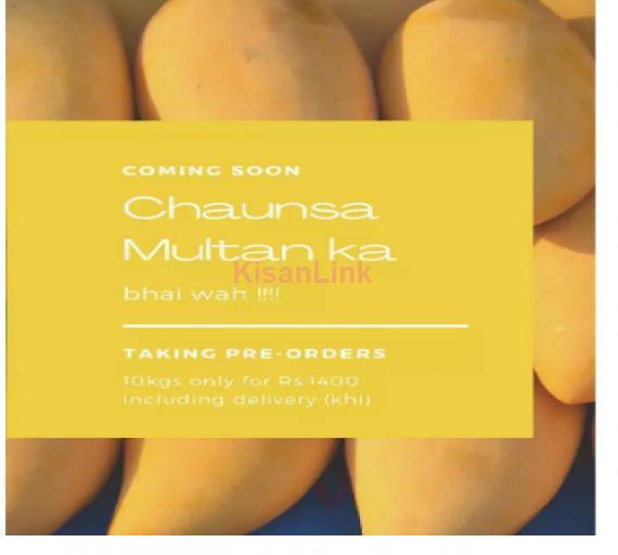 Mangoes For Sale