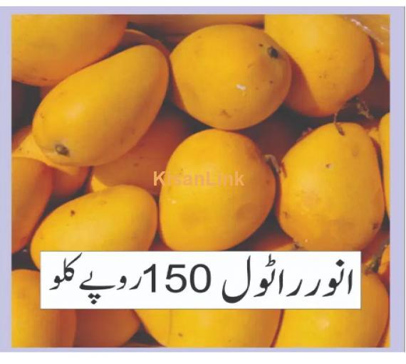 Mangoes For Sale