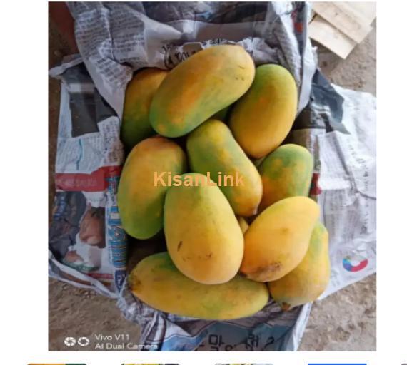 Mangoes For Sale