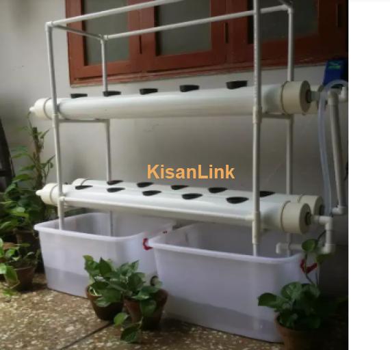 Hydroponic System