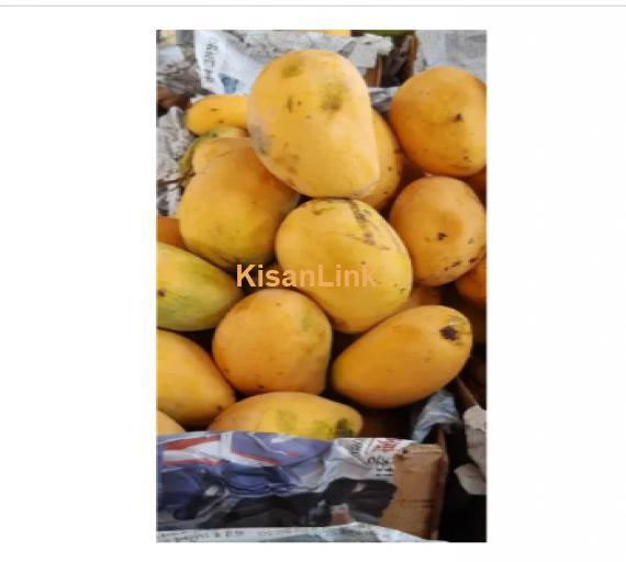 Mangoes For Sale