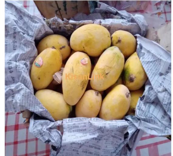 Mangoes For Sale