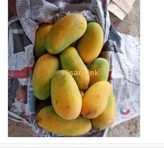 Mangoes For Sale