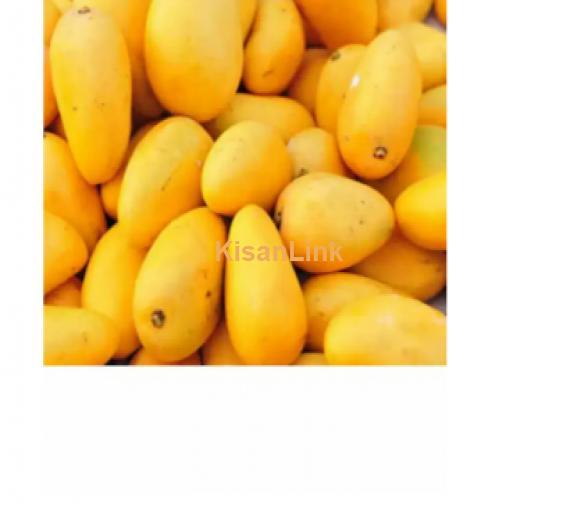 Mangoes For Sale