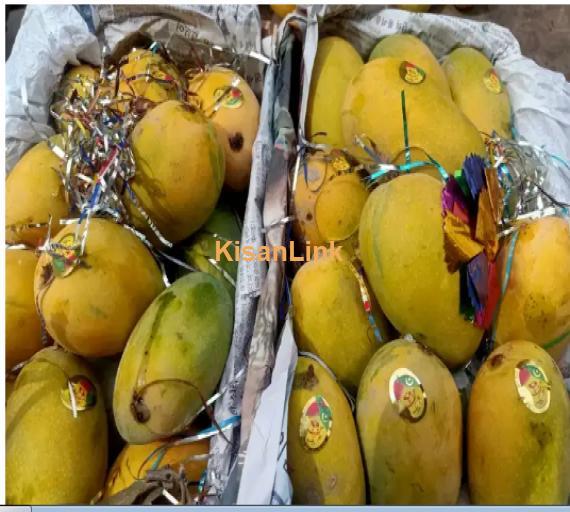 Mangoes For Sale