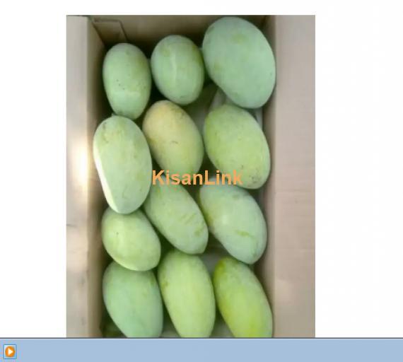 Mangoes For Sale