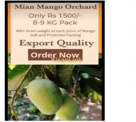 Mangoes For Sale