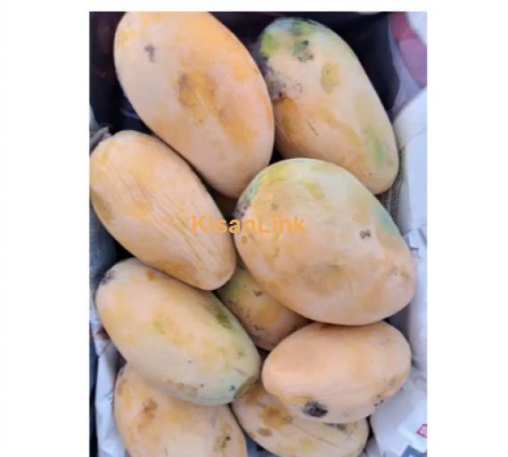 Mangoes For Sale