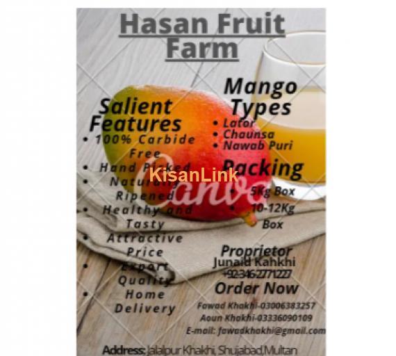 Mangoes For Sale