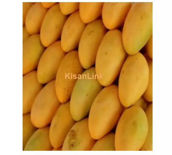 Mangoes For Sale