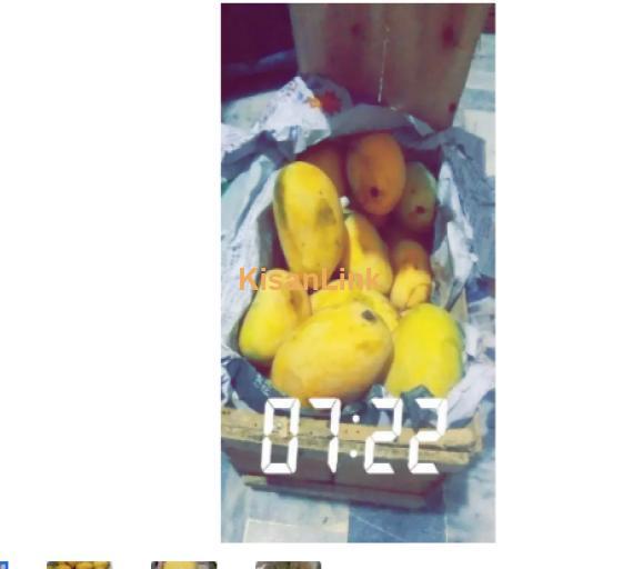 Mangoes For Sale