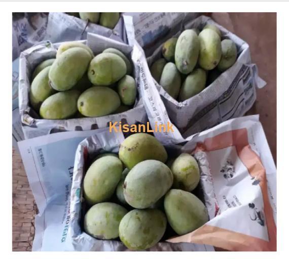 Mangoes For Sale