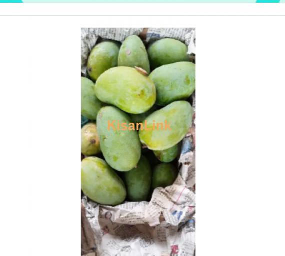 Mangoes For Sale