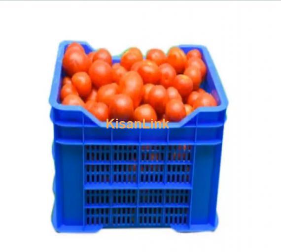 Tomato For Sale