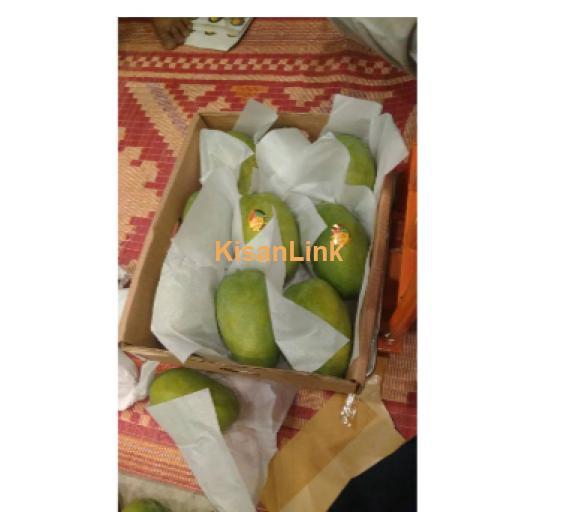 Mangoes For Sale