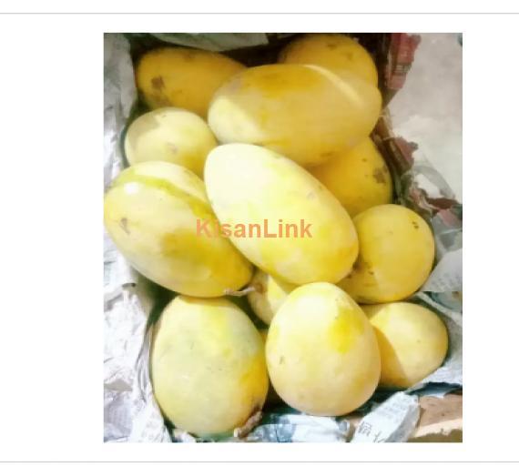 Mangoes For Sale