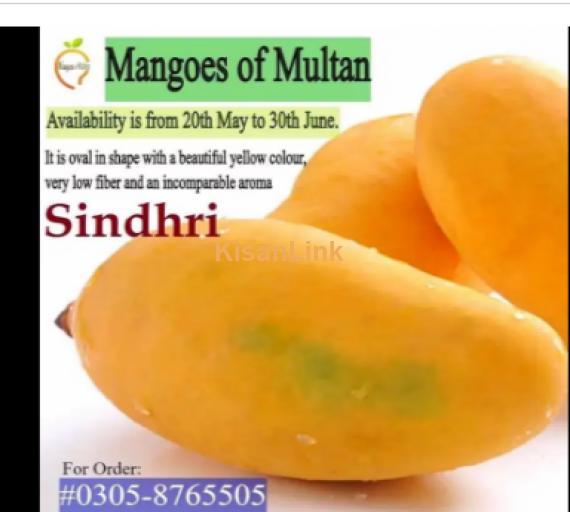 Mangoes For Sale