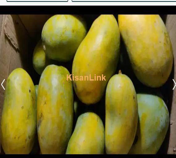 Mangoes For Sale