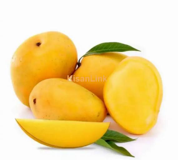 Mangoes For Sale