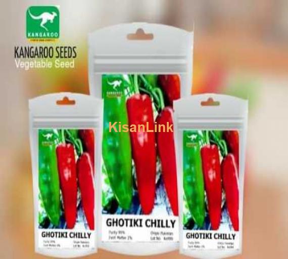 GHOTKI CHILLI (Garden Pack)