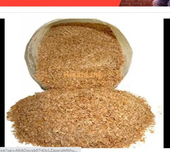 Wheat (گندم)  for Sale