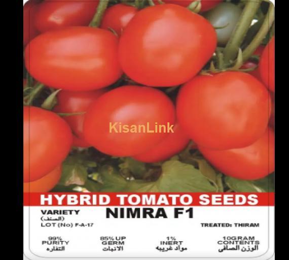 Tomato Seeds