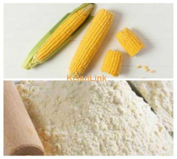 مکئی کا آ ٹا۔۔۔۔۔۔ Corn Flour