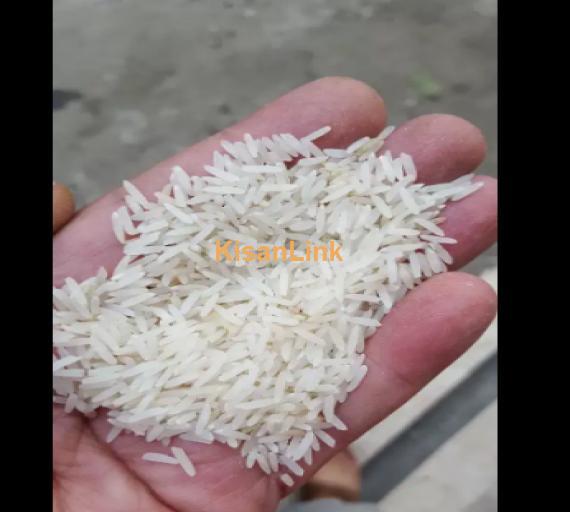 Rice For Sale